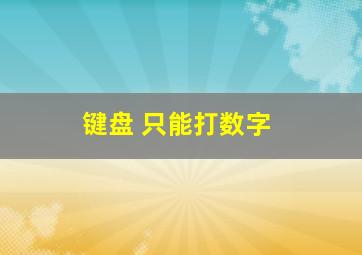 键盘 只能打数字